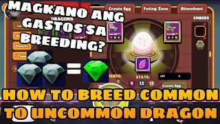 DRAGONARY BREEDING GUIDE  HOW TO BREED COMMON TO UNCOMMON DRAGON  MAGKANO ANG GASTOS SA BREEDING [upl. by Airtal888]