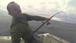 Racepoint 250 vs 150lb Bluefin Tuna Popping  Gib Rock Tuna [upl. by Hgielrak]