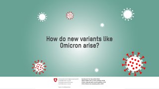 How do new variants like Omicron arise [upl. by Pontius]