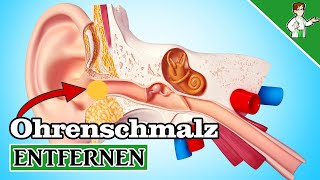 Ohrenschmalz entfernen  5 Möglichkeiten zum Ohren reinigen [upl. by Pearl]