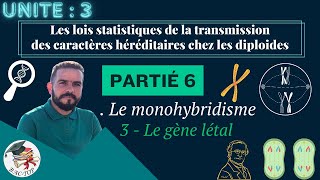 UNITÉ 3  Parti 6  Le gène létal  Le monohybridisme [upl. by Sidoney]