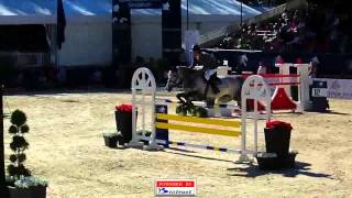 Ludger Beerbaum  Chiara 222 Lausanne Global Champions Tour 2012 [upl. by Sukramaj687]