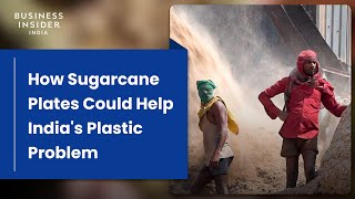 How Plates Made From Sugarcane Could Help Indias Plastic Problem  World Wide Waste [upl. by Artina]