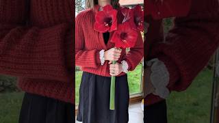 daydreamercardigan pattern from Kutovakikawith yarn from sandnesgarn8780 ♥️ knitting love [upl. by Tessie]