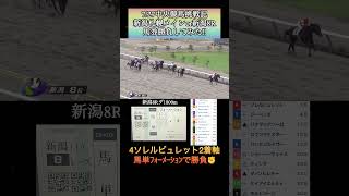 【馬券勝負】727中央競馬土曜2場メインレースと新潟8Rの馬券勝負してみた‼️ shorts 馬券 札幌競馬場 新潟競馬場 [upl. by Adnawahs773]