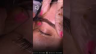 ASMR MICROBLADING [upl. by Gnehp]