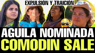 😱 ULTIMA HORA EXPULSIÓN Y TRAICIÓNCAPITULO 29  LA ISLA DESAFIO EXTREMO 1AGUILA NOMINADA COMODIN [upl. by Blankenship]