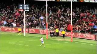 AFL 2011 Round 15 Highlights Essendon V Geelong [upl. by Sigismund]