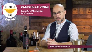 Pian delle Vigne Brunello di Montalcino DOCG 2016  Wine Tasting [upl. by Livia]