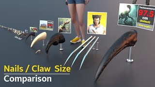 Claw  Nails Size Comparison of Animals and birds  Fictional character  Largest fingernails [upl. by Anelhtak]