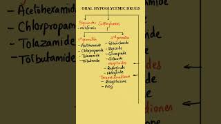 Hypoglycemic Drugs  Oral Hypoglycemic Drugs Classification  Classification of Hypoglycemic Drugs [upl. by Tteve61]