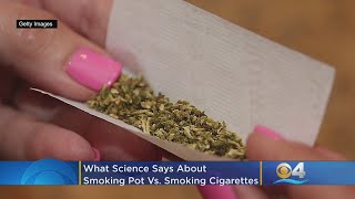 Heres What Science Says About Smoking Pot Vs Smoking Cigarettes [upl. by Toogood]