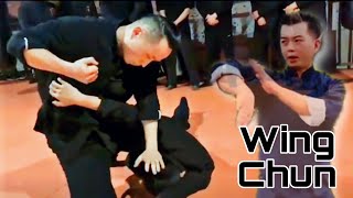 Wing Chun Techniques Martial Arts Instructions [upl. by Nerrot]