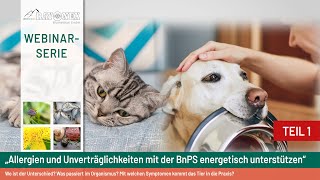 Webinar VET Allergie amp Unverträglichkeit – Wo ist der Unterschied [upl. by Ajim]