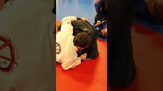 FAIXA PRETA FINGE QUE É FAIXA BRANCA DE JIU JITSU [upl. by Eirrek]