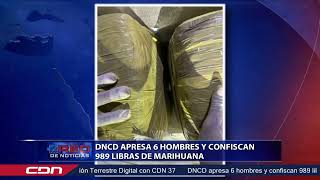 DNCD apresa 6 hombres y confiscan 989 libras de marihuana [upl. by Curren]