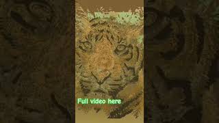 Blender 3d  multilayered svg animation tiger face [upl. by Fricke686]