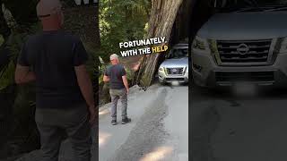 Car Gets Stuck Driving Through Redwood Trunk 😱 😭 [upl. by Drews702]