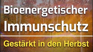 Harmonisierung des Immunsystems amp bioenergetische Erkältungsabwehr für den Herbst 🍁 [upl. by Odell]