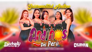 Andinos del PerÃº  oficial INSTRUMENTAL ANDINO  ESTRENO 2024  Dechipa Records [upl. by Lyrradal]