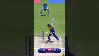 🔥 Best Yorkers of Cricket World Cup 2019 🎯  Unplayable Deliveries  Bumrah Starc Malinga Yorkers [upl. by Zetnauq]