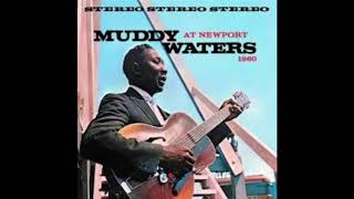 Muddy Waters at Newport 1960 Full Album [upl. by Icul]