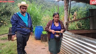 😃El día de hoy mamá nos prepara una deliciosa comida en nuestra casita del campo con ricos hongos😋😋 [upl. by Sherm]