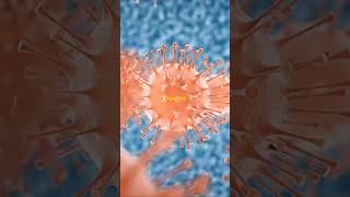 Are Viruses Alive The Controversial Science Explained [upl. by Citarella]