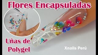 Uñas de Polygel con Flores secas Encapsuladas y 3D  Xnails Peru [upl. by Oiligriv668]