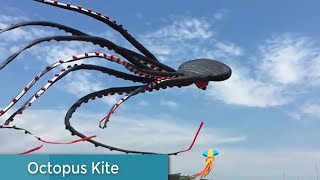 Cool kites Youve never seen before with footage  UTTRAYAN Special by ITOPINGS [upl. by Glovsky]