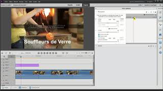 Tuto Adobe Première Elements Animer Déplacer un Titre ou un élément Texte Fr [upl. by Randal]