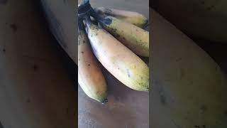 Red banana 🍌🍌🍌🍌 healthyfood gokila2022 funny gokilaranjith tamilhealth [upl. by Petr]