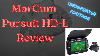 Marcum Pursuit HDL Underwater Camera Review  Multispecies Footage [upl. by Cilla]