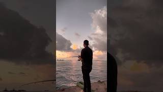 fishin time 🎣 🐠 🐠 shortvideo mymaldives fishingvideo fishing [upl. by Euphemie]