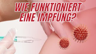 Wie funktioniert eine Impfung  Immunsystem [upl. by Atirres603]