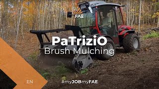 The small FAE forestry mulcher in action with an Antonio Carraro TTR 7600 tractor [upl. by Karli]