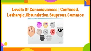 levels of consciousness  confusedlethargicobduntationstuprouscomatosPhysiotherapyKnowledge [upl. by Annaihs]