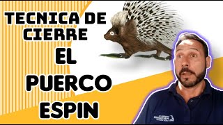 Técnica de cierre  el puerco Espin [upl. by Assenov]