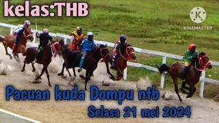 KELAS quot THB PACUAN KUDA DOMPU NTB 21 MEI 2024 [upl. by Greenberg222]