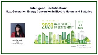 Intelligent Electrification  Sue Ozdemir  2020 Wall Street Green Summit [upl. by Jenesia511]