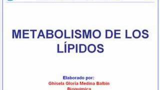 Metabolismo Lipídico [upl. by Olodort]