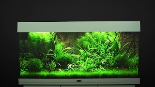 Aquarium einrichten JUWEL Rio 180  Tutorial [upl. by Etselec]