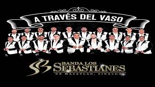 a través del vaso banda los sebastianes epicenter bass [upl. by Kirtley67]