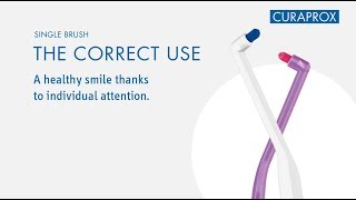 The Correct Use  CS 1006 Single Brush [upl. by Tillman]