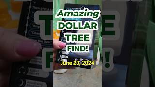 Amazing DOLLAR TREE FIND VoiceControlled Lamp June 20 2024 Manchester PA [upl. by Galitea]