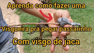 aprenda como fazer uma visgueira pra pegar passarinho com visgo de jaca [upl. by Haeli556]