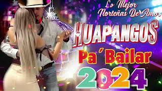 HUAPANGOS Pa BAILAR 2024💃🏽 Huapangos Mix💃🏽 Huapangos Norteños 2024 [upl. by Avla]