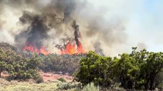 Nixon Fire in Aguanga CA 72924 [upl. by Reppart591]