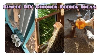 Latest DIY Chicken Feeders Ideas Practical Simple amp Makes Your Feeding Fun  Cute Pets Bonding [upl. by Still109]