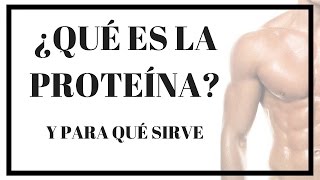 ¿QUÉ ES LA PROTEÍNA Y PARA QUÉ NOS SIRVE [upl. by August]